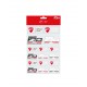 Stickers DUCATI100